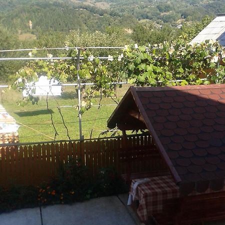 Pensiunea Popan Şieu Exterior foto
